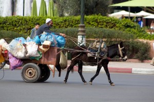 IMG_0324.jpg.scaled1000