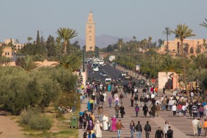 IMG_0500.jpg.scaled1000