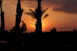 IMG_0701.jpg.scaled1000