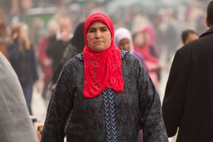 IMG_0809.jpg.scaled1000